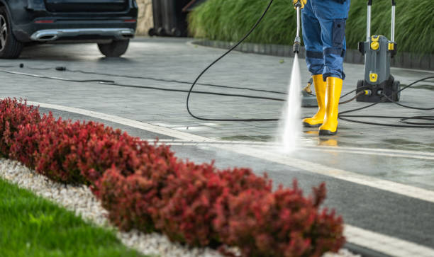 Best Driveway Pressure Washing  in Temesl Valley, CA